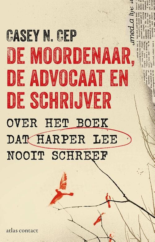 Foto van De moordenaar, de advocaat en de schrijver - casey n. cep - ebook (9789045031811)