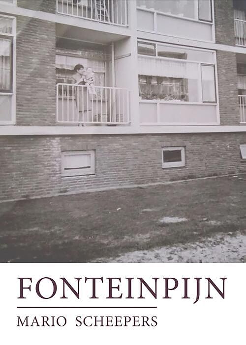 Foto van Fonteinpijn - mario scheepers - ebook (9789082146523)