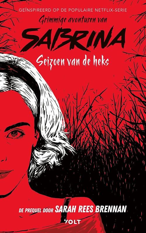 Foto van De grimmige avonturen van sabrina - sarah rees brennan - ebook (9789021419084)