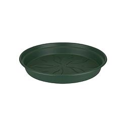 Foto van 5 stuks green basics schotel 10cm blad groen