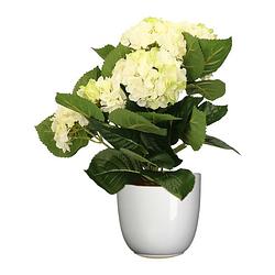 Foto van Hortensia kunstplant/kunstbloemen 36 cm - wit/groen - in pot wit glans - kunstplanten