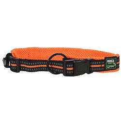 Foto van Dogs collection hondenhalsband neon 45-55 cm polyetheen oranje