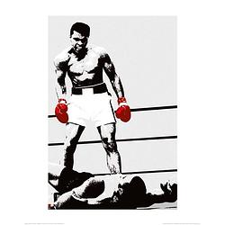 Foto van Pyramid muhammad ali gloves kunstdruk 60x80cm