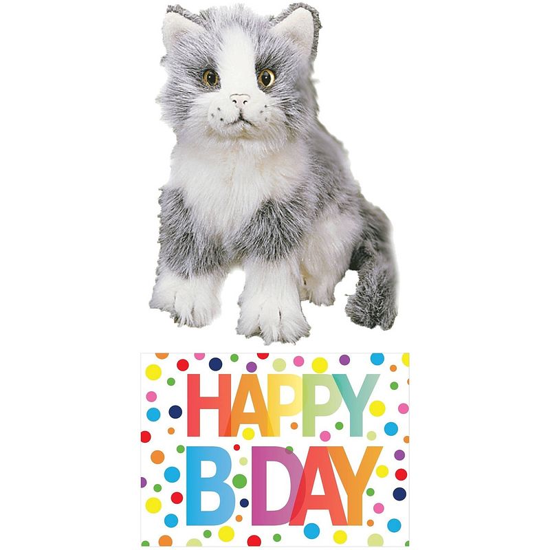 Foto van Cadeau setje pluche grijze kat/poes knuffel 20 cm met happy birthday wenskaart - knuffel huisdieren