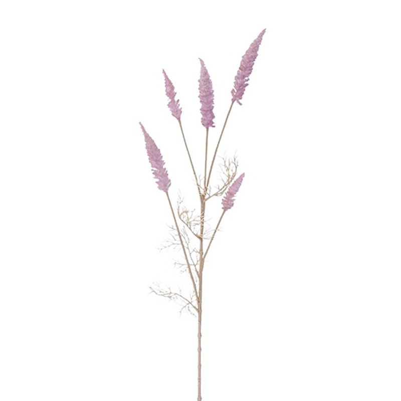 Foto van Astilbe tak pink