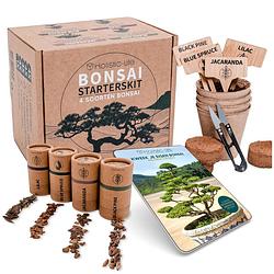 Foto van Bonsai starters kit met uitgebreide instructies - bonsai zaden kit - binnen boompje kweken - kamerplanten - kweekset cad