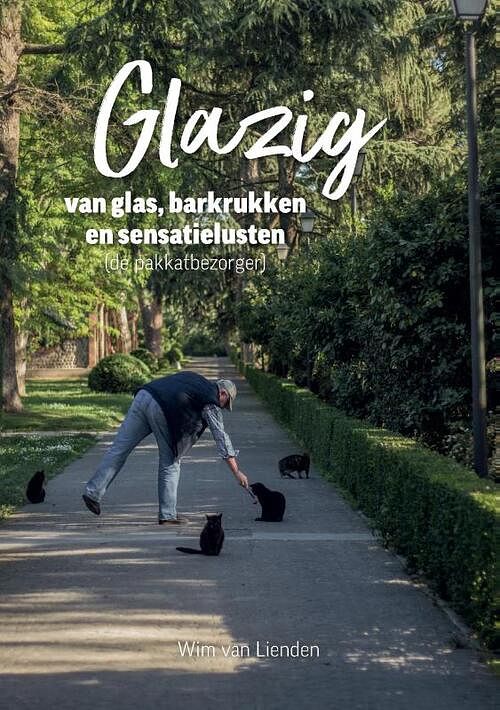 Foto van Glazig; van glas, barkrukken en sensatielusten (de pakkatbezorger) - wim van lienden - paperback (9789464812756)