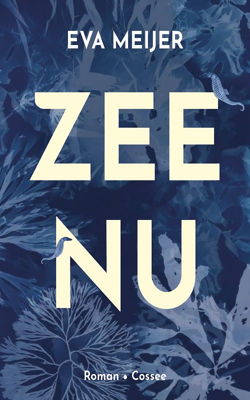 Foto van Zee nu - eva meijer - ebook (9789464520149)