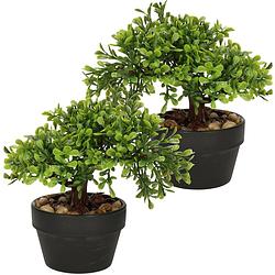 Foto van H&s collection kunstplant bonsai boompje in pot - 2x - japans decoratie - 19 cm - type olive - kunstplanten