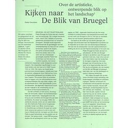 Foto van Kijken naar de blik van bruegel