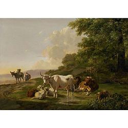 Foto van Inductiebeschermer - landschap met vee - 80.2x52.2 cm