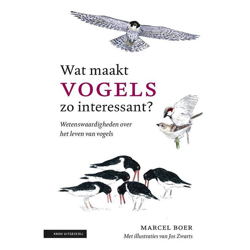 Foto van Wat maakt vogels zo interessant