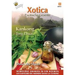 Foto van 3 stuks xotica kankong