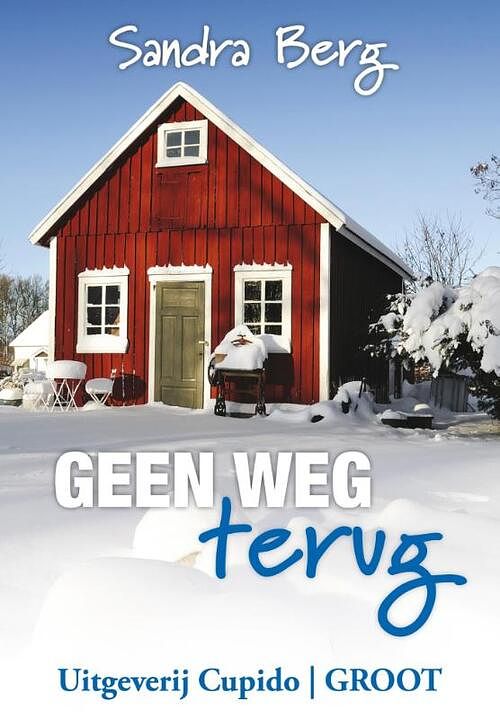 Foto van Geen weg terug - sandra berg - ebook (9789462040229)