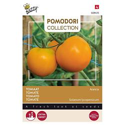 Foto van 3 stuks pomodori arancia