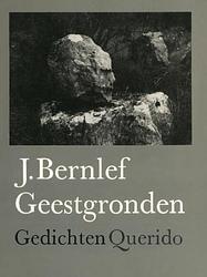 Foto van Geestgronden - j. bernlef - ebook (9789021448305)