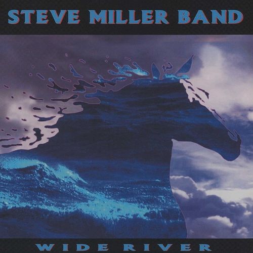 Foto van Wide river - lp (0602567872559)