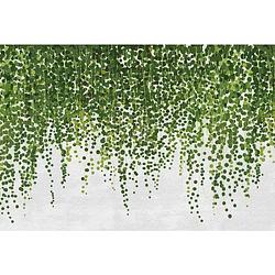 Foto van Wizard+genius hanging plants vlies fotobehang 384x260cm 8-banen