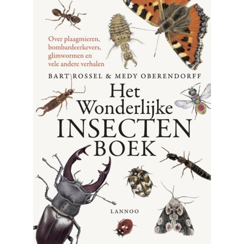 Foto van Het wonderlijke insectenboek