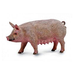 Foto van Collecta speelfiguur varken roze 10 x 5 cm
