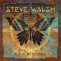 Foto van Black butterfly - lp (8719262006003)