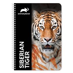 Foto van Animal planet notitieboek tijger 21 x 30 cm papier 120 pagina's