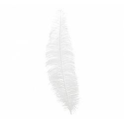 Foto van Fiestas guirca hoofdband struisvogel veren 40 cm wit
