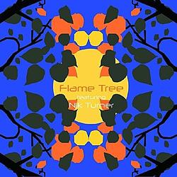 Foto van Flame tree feat. nik turner - cd (0889466029820)