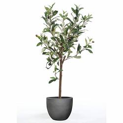 Foto van Emerald kunstplant olijfboom mini 65 cm