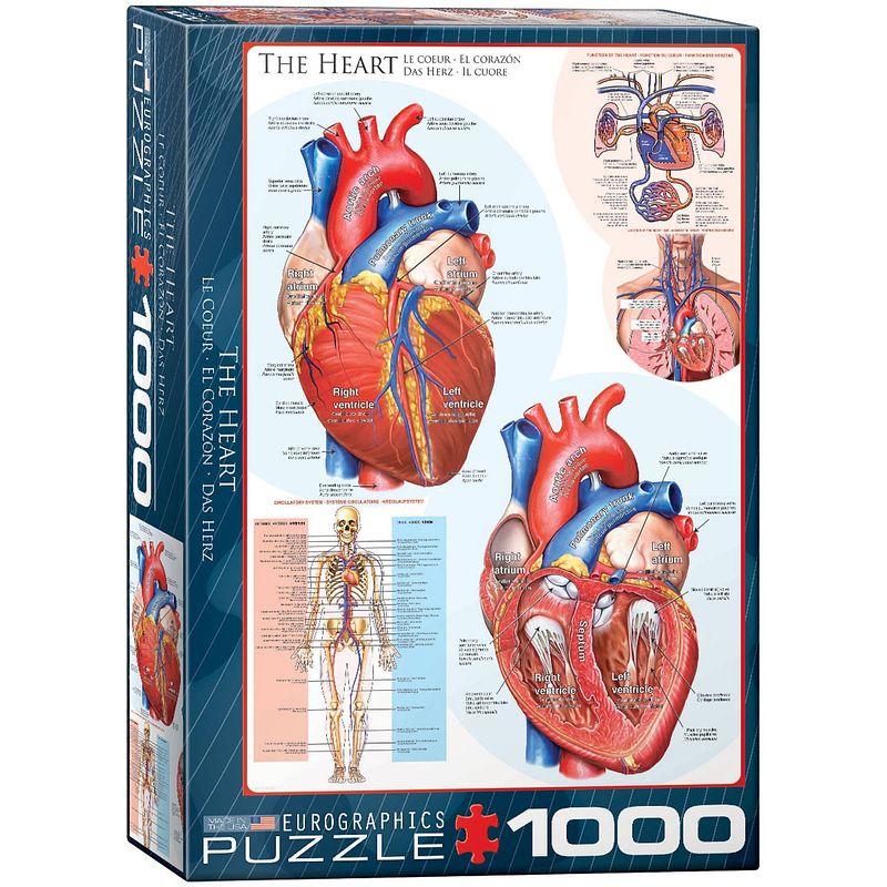 Foto van Eurographics puzzel the heart - 1000 stukjes