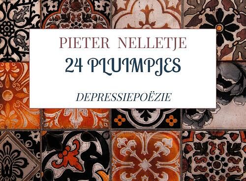 Foto van 24 pluimpjes - pieter nelletje - paperback (9789403712956)