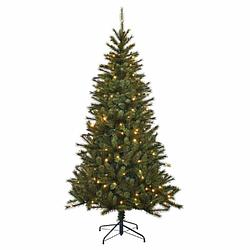 Foto van Kunst kerstboom black box kingston 767 tips met licht 215 cm - kunstkerstboom