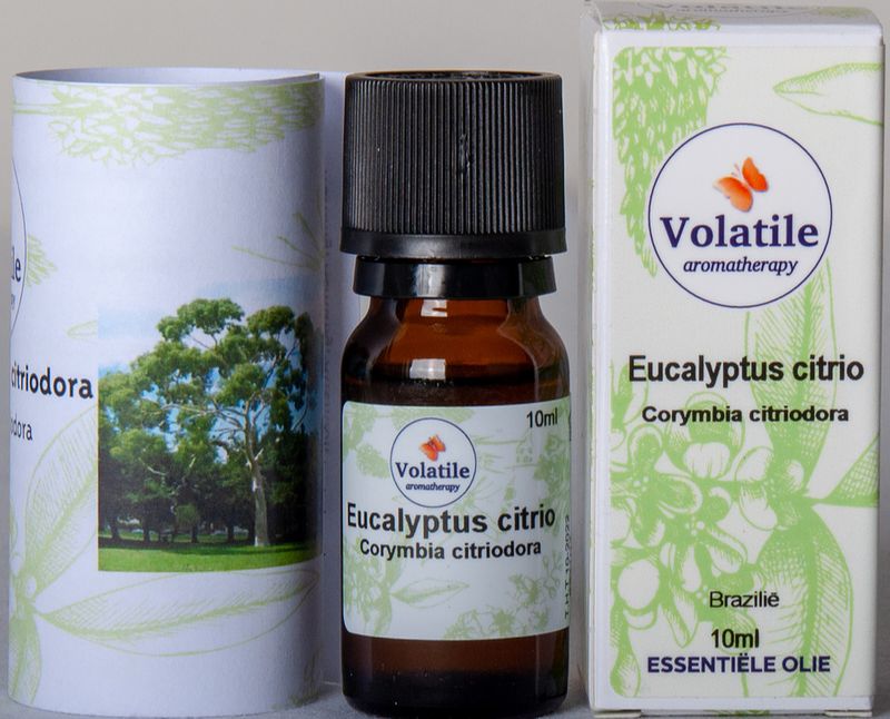 Foto van Volatile citroen eucalyptus (eucalyptus citriodora) 10ml