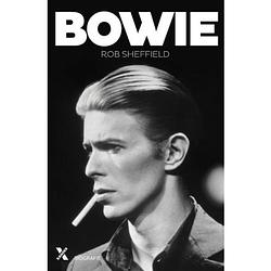 Foto van Bowie