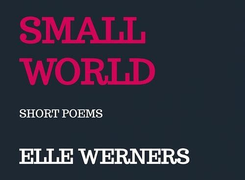 Foto van Small world - elle werners - paperback (9789403703602)