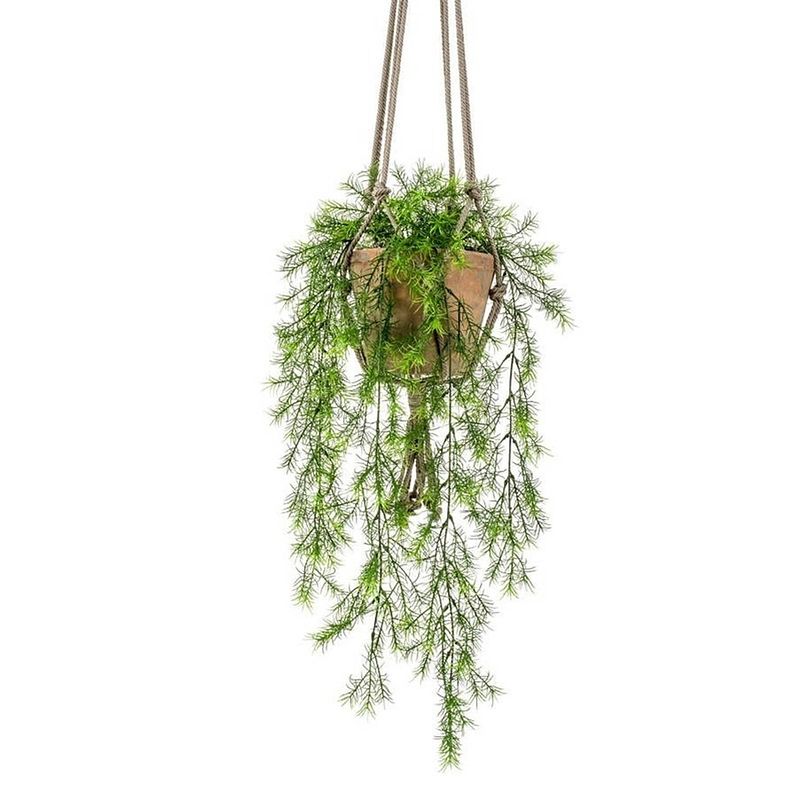 Foto van Asparagus sprengeri kunst hangplant 75cm