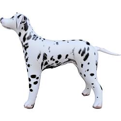 Foto van Opblaas dalmatier hond dieren 75 cm realistische print - opblaasspeelgoed