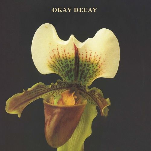 Foto van Okay decay - cd (8714374965880)