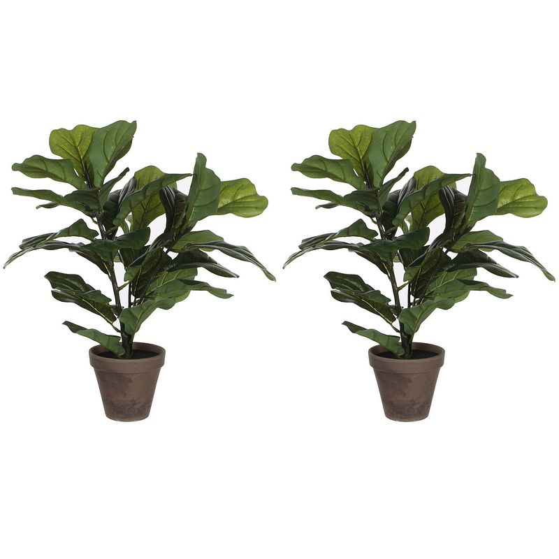 Foto van 2x stuks groene ficus lyrata kunstplant 45 cm voor binnen - kunstplanten/nepplanten/binnenplanten met pot