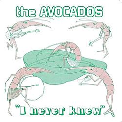 Foto van I never know - 7 inch vinyl;7 inch vinyl (5065010051119)