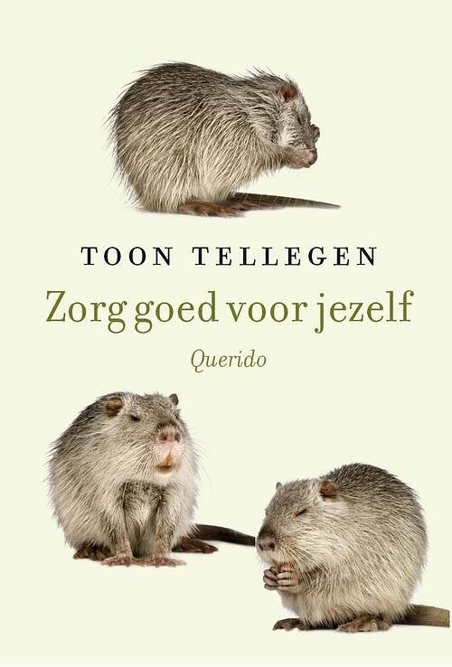 Foto van Zorg goed voor jezelf - toon tellegen - ebook (9789021400938)