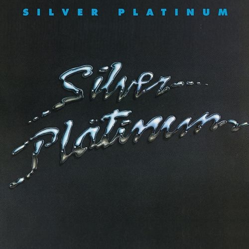 Foto van Silver platinum - cd (8717438198262)