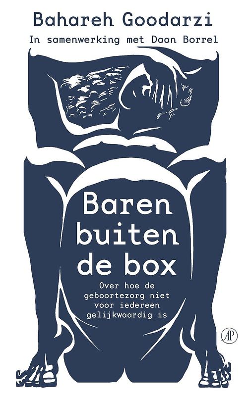 Foto van Baren buiten de box - bahareh goodarzi, daan borrel - ebook