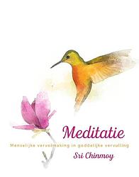 Foto van Meditatie - sri chinmoy - ebook (9789492066527)