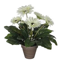 Foto van Gerbera kunstplant wit in keramiek pot h35 cm - kunstplanten