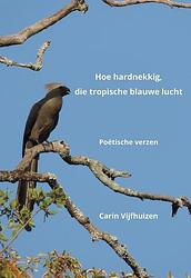 Foto van Hoe hardnekkig, die tropische blauwe lucht - carin vijfhuizen - paperback (9789463654890)