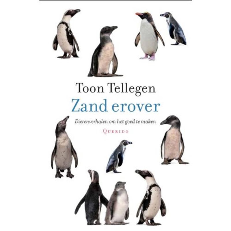 Foto van Zand erover