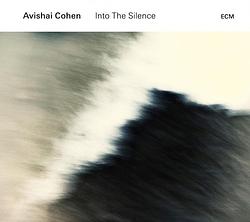 Foto van Into the silence - cd (0602547594358)