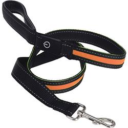 Foto van Dogs collection hondenriem led 120 cm x 2,5 cm nylon oranje