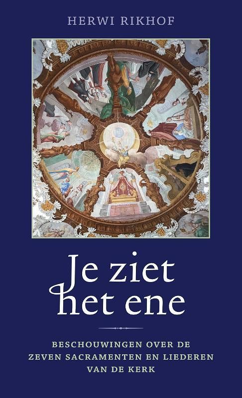 Foto van Je ziet het ene - herwi rikhof - hardcover (9789493161528)